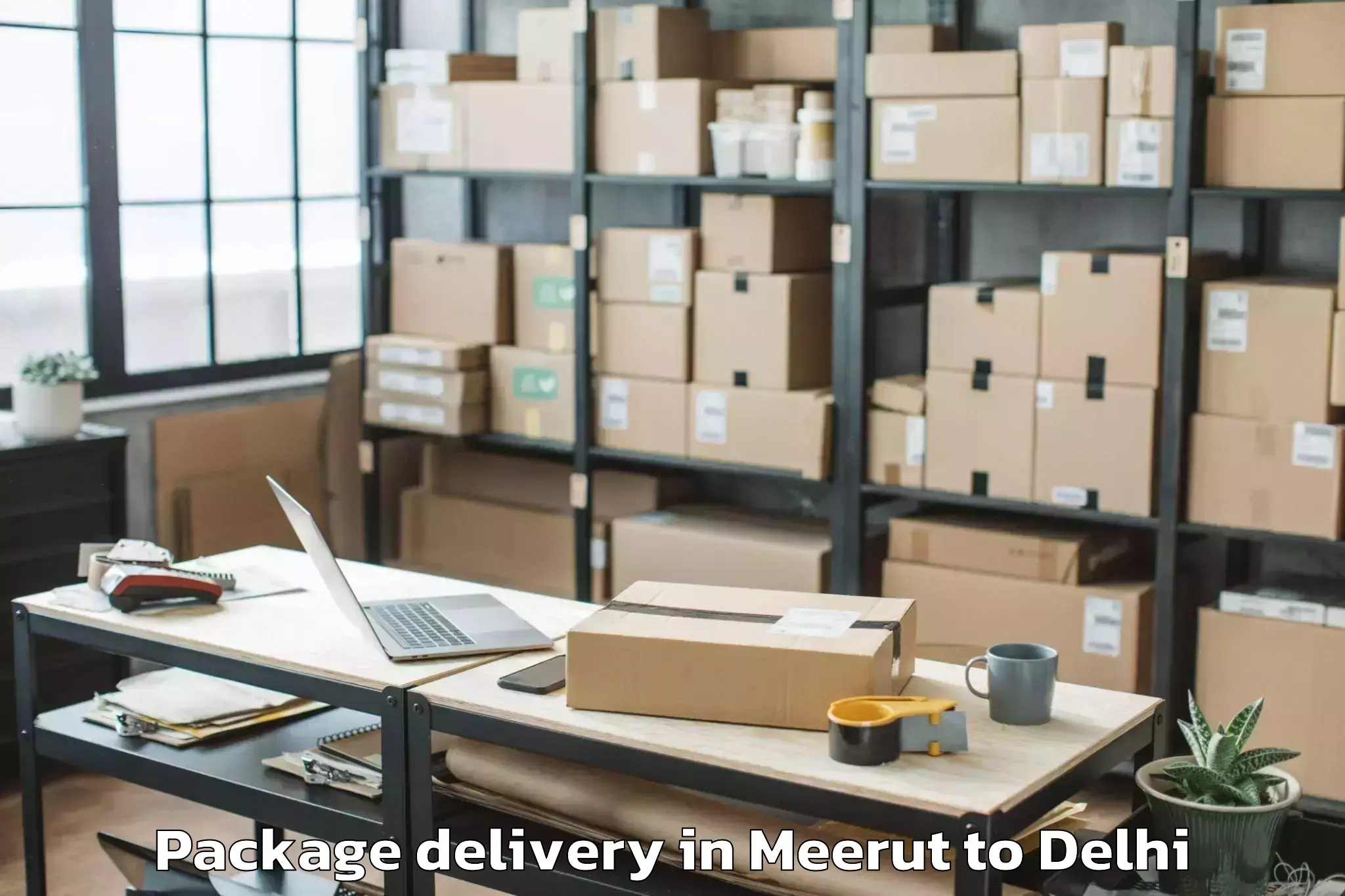 Expert Meerut to Parsvnath Mall Azadpur Package Delivery